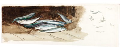 Estudio de peces de Charles Napier Hemy
