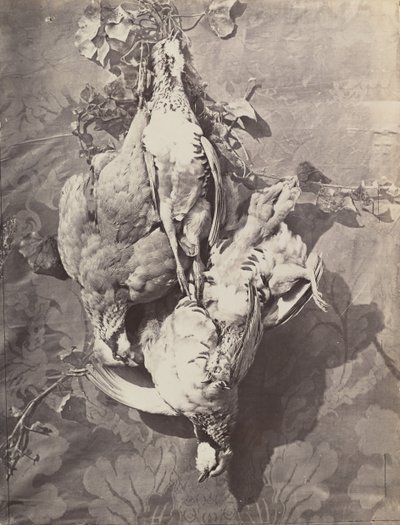 [Naturaleza Muerta con Aves de Caza] de Charles Nègre