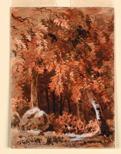 En el bosque de Charles Nicolas Ransonnette