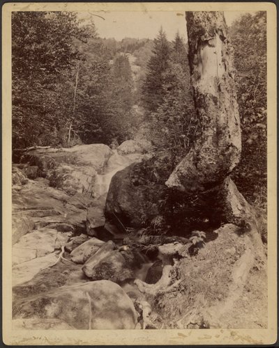 [Arroyo en cascada] de Charles P. Hibbard