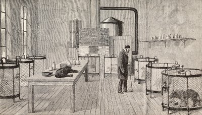 Perros en jaulas dentro del laboratorio de Louis Pasteur (1822-1895), químico y biólogo francés, París, Francia, grabado de L