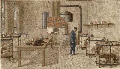 Perros en jaulas dentro del laboratorio de Louis Pasteur de Charles Paul Renouard