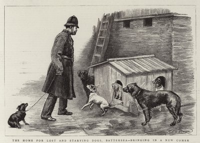 El hogar para perros perdidos y hambrientos, Battersea, trayendo un nuevo compañero de Charles Paul Renouard