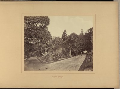Jardín Botánico de Charles Percy Pickering