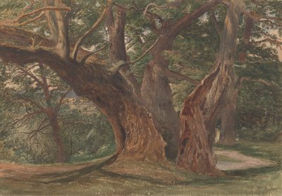 Árboles en un paisaje de Charles Reginald Aston
