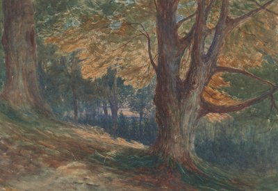 Árboles sobre una colina en un paisaje boscoso de Charles Reginald Aston