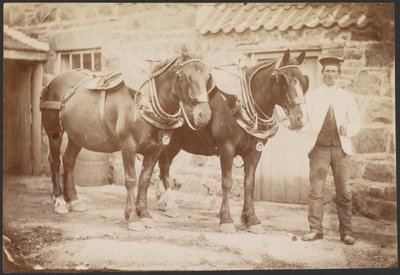 [Hombre con dos caballos] de Charles Reid