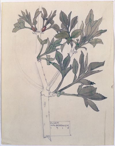 Elder, Walberswick, 1915 de Charles Rennie Mackintosh