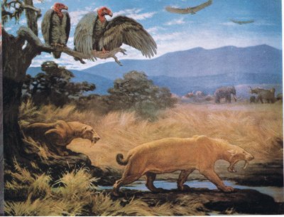 Gatos de dientes de sable de Charles Robert Knight