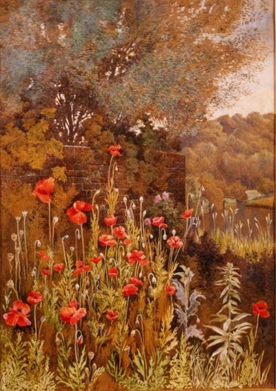 Amapolas en la Orilla del Río de Charles Robertson