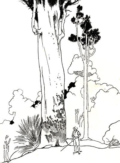 Un árbol de Kauri, 1912 de Charles Robinson