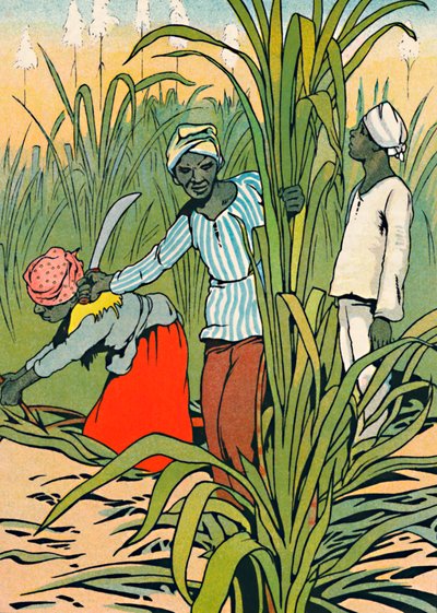 Trabajando entre las cañas de azúcar, 1912 de Charles Robinson