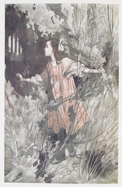 Mary Lennox. de Charles Robinson