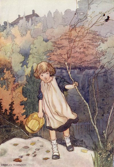 Nuestro Jardín Sentimental: El Haya de Charles Robinson