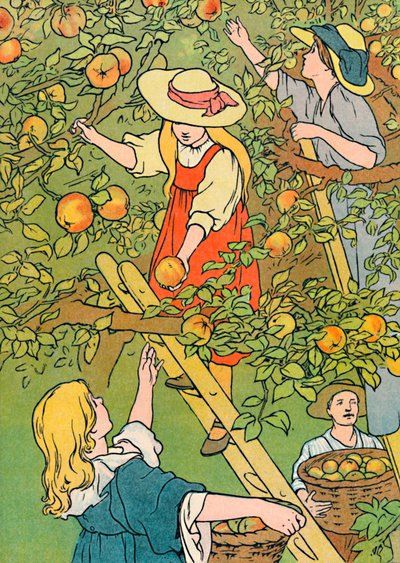 Recogiendo la fruta, 1912 de Charles Robinson