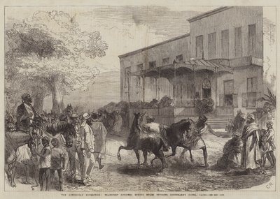 La expedición abisinia, oficiales de transporte comprando mulas frente al Hotel Shepheard, El Cairo de Sir John Charles Robinson