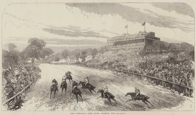 Las carreras del parque Alexandra, Muswell Hill de Sir John Charles Robinson