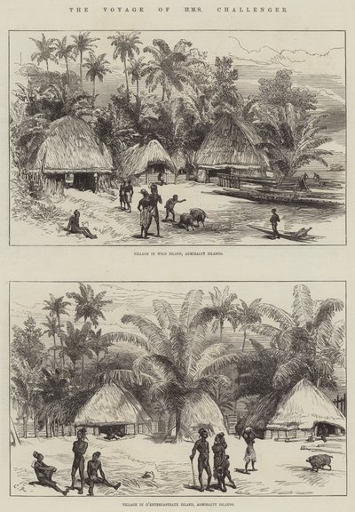 El Viaje del HMS Challenger de Sir John Charles Robinson