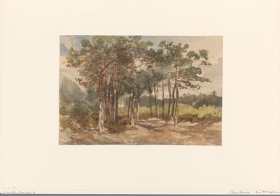 Grupo de árboles en el bosque cerca de Driebergen de Charles Rochussen
