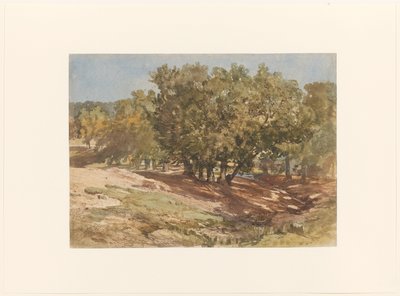 Vista de Beekhuizen, en la montaña Zijpenberg de Charles Rochussen