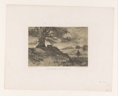Paisaje con mojón y mojón Árbol limítrofe y piedra limítrofe (título del objeto) de Charles Rochussen