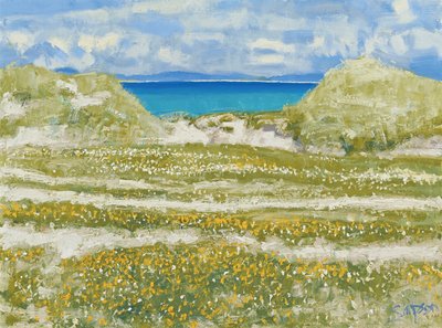Glimpse of Harris, 2014 (óleo sobre lienzo) de Charles Simpson