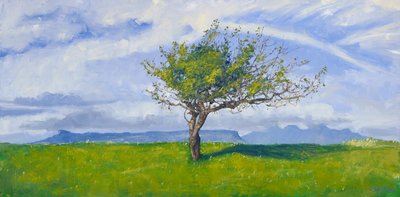Árbol de la costa oeste, 2015 (óleo sobre lienzo) de Charles Simpson