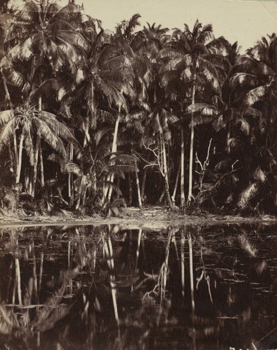 Tetiaroa - Un lagón de los Paumotu, 1880s o 1890s de Charles Spitz