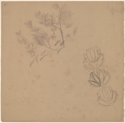 Estudio para un diseño de borde con un boceto de un árbol de Charles Sprague Pearce