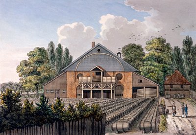 Jardines de Cuper, Lambeth, Londres, 1801 de Charles Tomkins