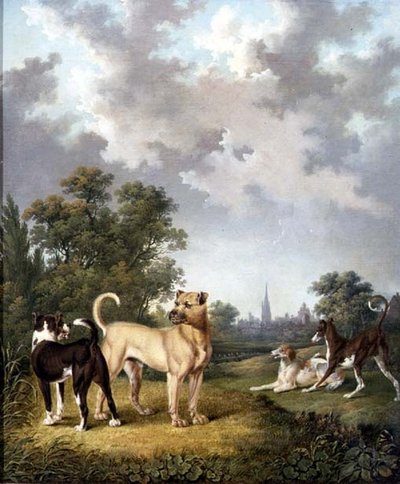 Perros en un paisaje, c.1820 de Charles Towne