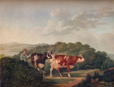 Paisaje inglés, con ganado Shorthorn, finales del siglo XVIII-principios del siglo XIX, 1930 de Charles Towne