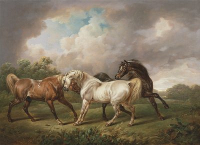Tres caballos en un paisaje tormentoso de Charles Towne