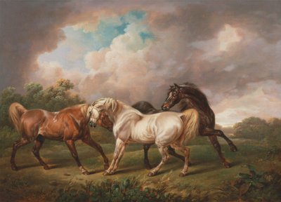 Tres caballos en un paisaje tormentoso de Charles Towne