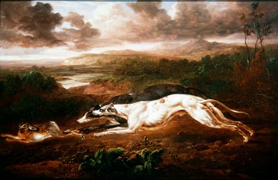 Dos galgos persiguiendo una liebre de Charles Towne