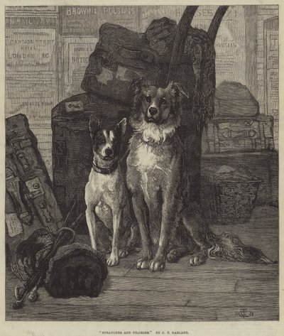 Extraños y peregrinos de Charles Trevor Garland