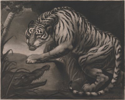 Tigre y cocodrilo de Charles Turner