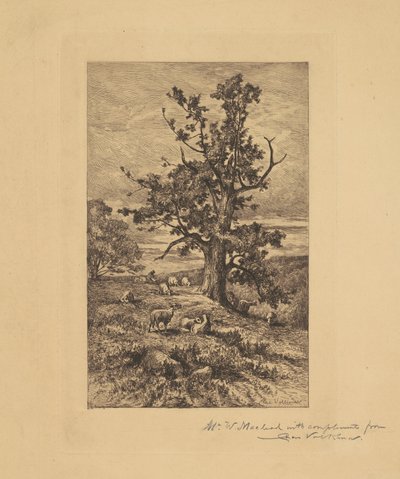 Paisaje con ovejas de Charles Volkmar