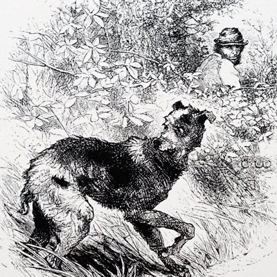 Un cazador furtivo con su galgo de Charles Whymper