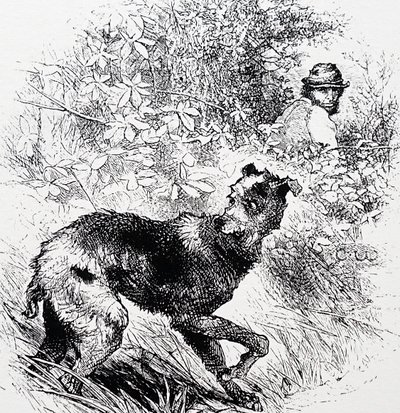 Un cazador furtivo con su galgo de Charles Whymper