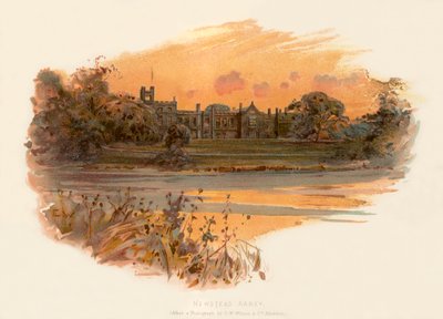 Abadía de Newstead de Charles Wilkinson