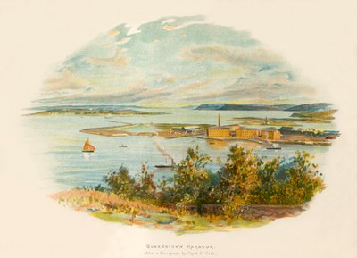 Puerto de Queenstown de Charles Wilkinson