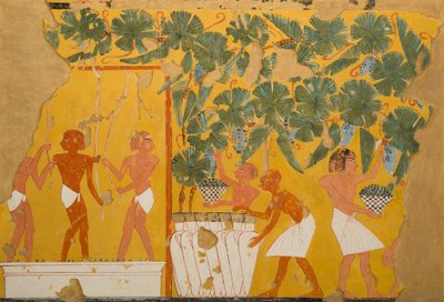 Elaboración de vino, Tumba de Ipuy de Charles Wilkinson