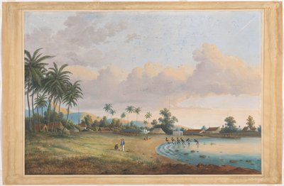 Vista de Carnation Java de Charles William Meredith van de Velde