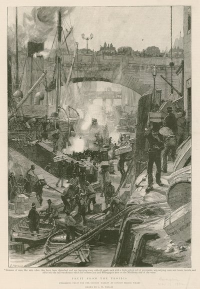 Fruta de los trópicos de Charles William Wyllie