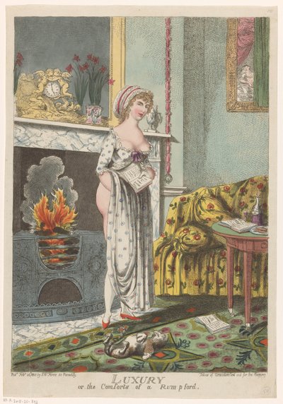 La mujer se calienta junto a la chimenea, un libro en la mano. Lujo o las comodidades de un Rumpford (título sobre el objeto) de Charles Williams