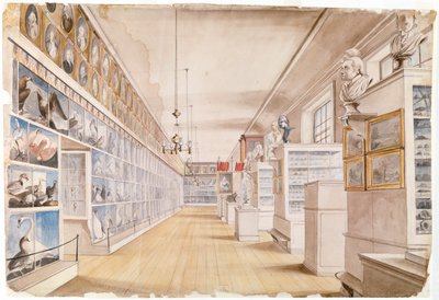 La Sala Larga, Interior de la Sala Frontal en el Museo de Peale, 1822 de Charles Willson Peale