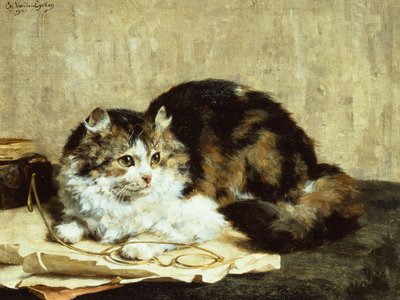 un gato atigrado de Charles van den Eycken