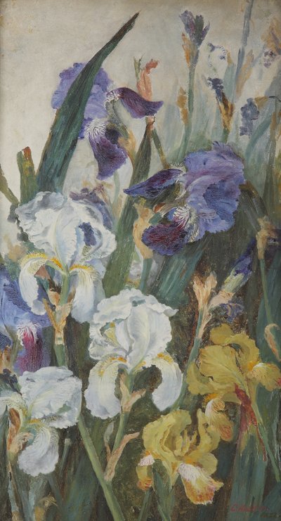 Iris, 1882 de Charlotte Hodder
