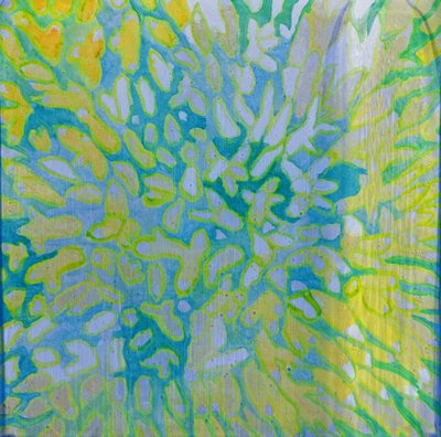 Acrapora, 2000 de Charlotte Johnstone